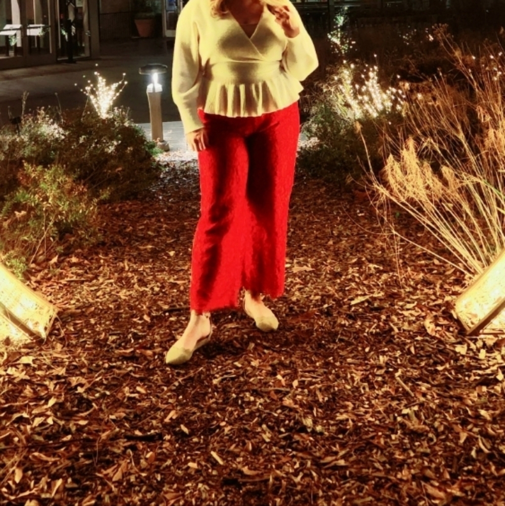 J. Crew Red Lace Cropped Pull On Pants Size 4